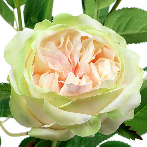 Floristik24 Deco Rose Cream Pink Ø10cm 52cm 3szt.