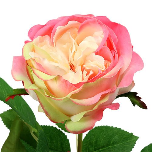 Floristik24 Deco Różowe Ø10cm 52cm 3szt.