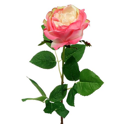 Floristik24 Deco Różowe Ø10cm 52cm 3szt.