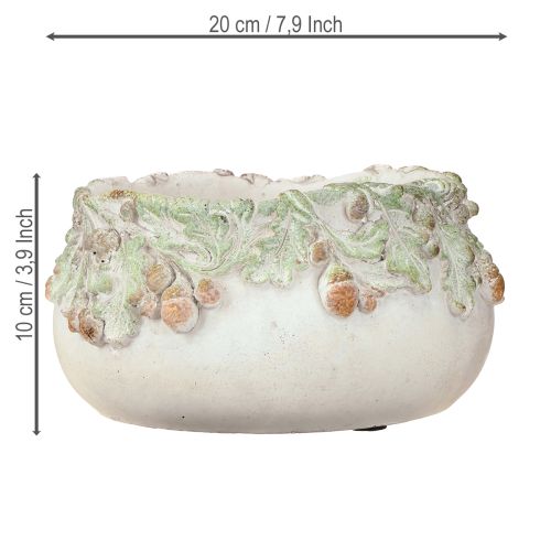 Produkt Miska dekoracyjna z odlewanego kamienia na żołędzie Ø20cm H10cm