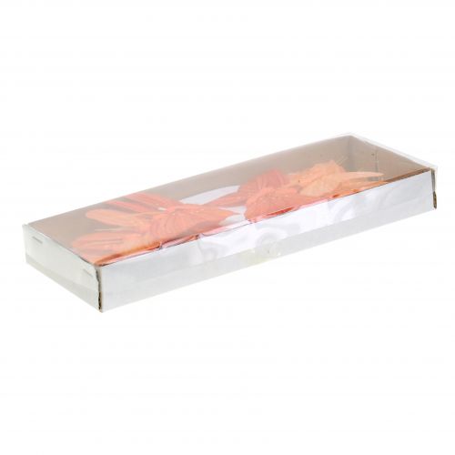 Floristik24 Deco motyl pomarańczowy 12 sztuk