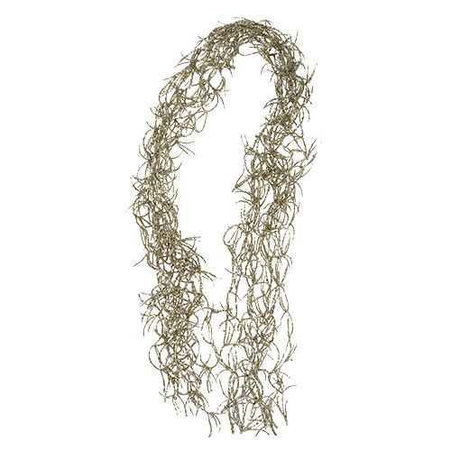 Floristik24 Deco pasmo Tillandsia Gold 100cm 10szt