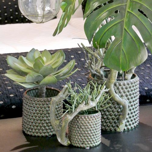 Floristik24 Deco Succulent Artificial Green Ø30cm H27cm