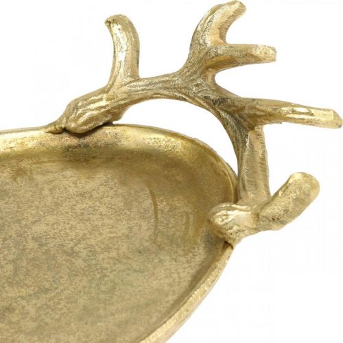 Dekoracyjna taca złota poroże jelenia vintage taca owalna dł. 35×szer. 17 cm