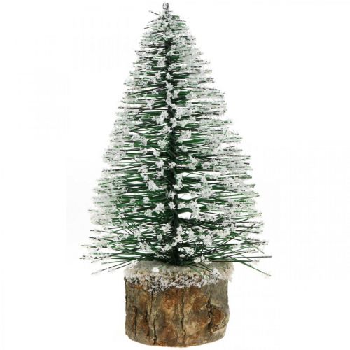 Floristik24 Dekoracja świąteczna, choinka dekoracyjna, mini zielona jodła ze śniegiem W15cm Ø9,5cm 6 szt
