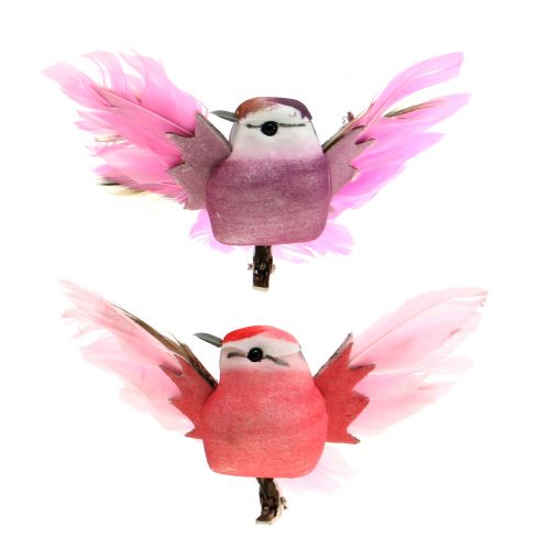 Floristik24 Ptaki ozdobne na klipsie różowo/fioletowe 9cm 8szt.
