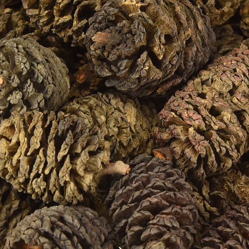 Produkt Szyszki ozdobne olchowe szyszki naturalne do dekoracji 3-4cm 200g