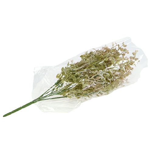 Floristik24 Gałązka dekoracyjna jasnozielona 35cm