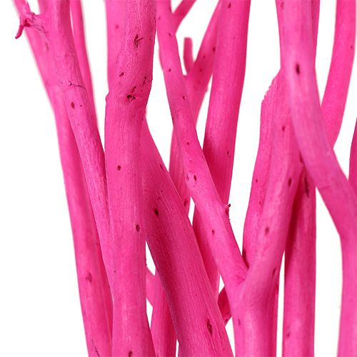 Floristik24 Gałązki ozdobne Mitsumata 45-60cm różowe 12 szt