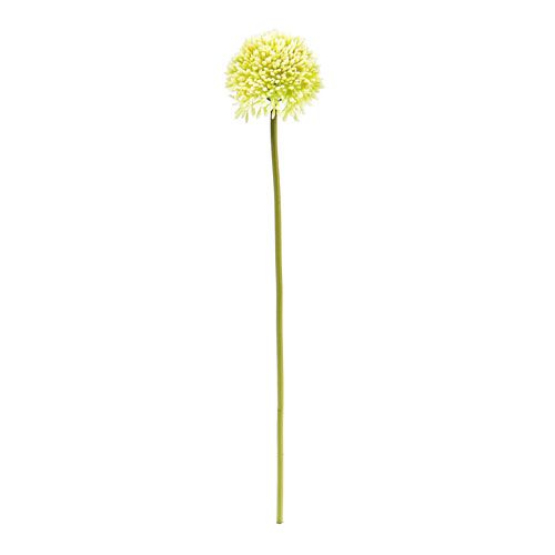 Floristik24 Deco krem allium Ø6,5cm L39cm