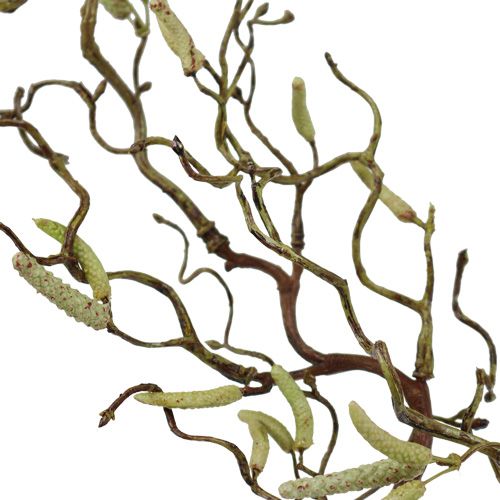 Floristik24 Gałązka brzozowa Deco 68cm