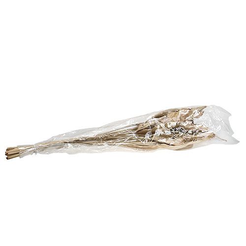 Floristik24 Liście dekoracyjne natura 120cm 20 szt
