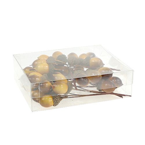 Floristik24 Deco żołądź na druciku 4cm L12cm 36szt.