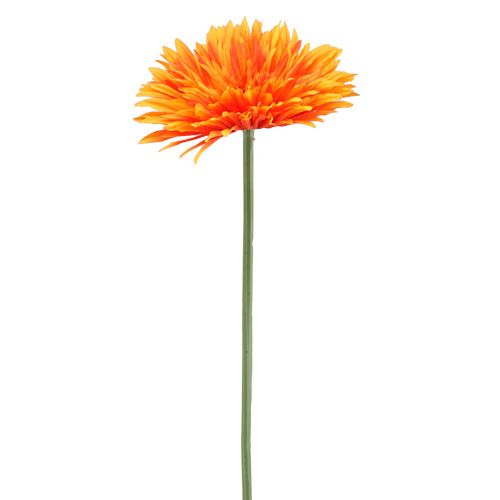 Floristik24 Deco Gerbera pomarańczowa Ø15cm L88cm