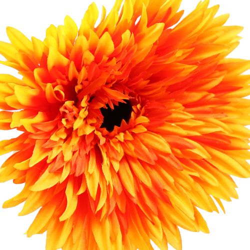 Floristik24 Deco Gerbera pomarańczowa Ø15cm L88cm