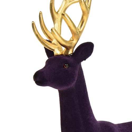 Floristik24 Deco jeleń renifer w kolorze fioletowo-złotym flokowanym, figura H37cm