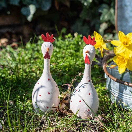 Floristik24 Ozdobna figurka wielkanocna z kurczaka biała w kropki Ø7cm W20cm