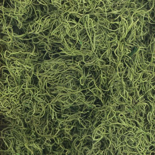 Produkt Mech dekoracyjny suszony mech leśny zielony naturalny dekoracja 300g