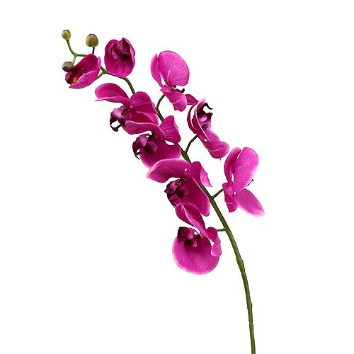 Floristik24 Deco Orchidea różowa L77cm