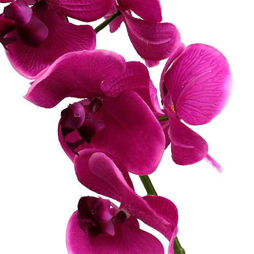Floristik24 Deco Orchidea różowa L77cm