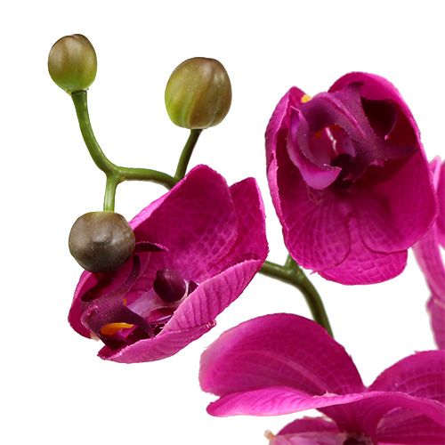 Floristik24 Deco Orchidea różowa L77cm