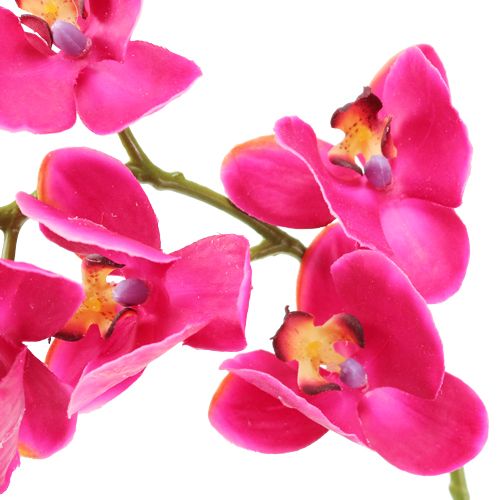 Produkt Sztuczna orchidea fuksja 77cm