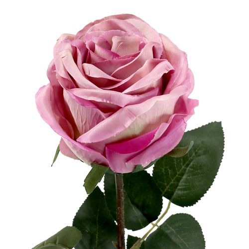 Produkt Róża dekoracyjna z wypełnieniem stary róż Ø10cm L65cm 3szt.