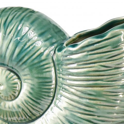 Floristik24 Wazon dekoracyjny z muszli ślimaka ceramiczny zielony 18x8,5x15,5cm
