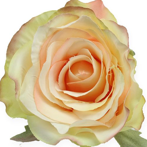 Floristik24 Sztuczne główki róż Ø9cm 6szt.