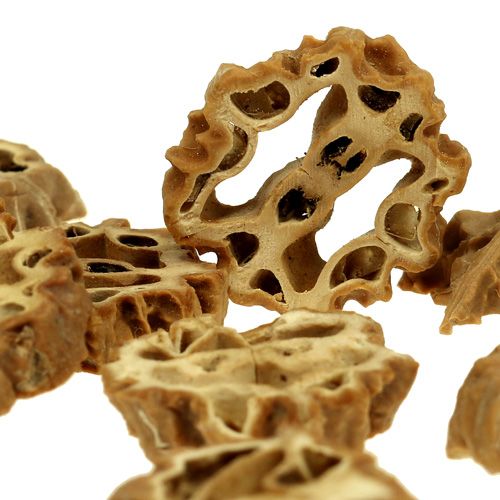 Floristik24 Orzech w plasterkach 2cm naturalny 250g