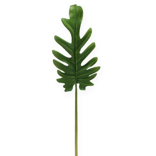 Produkt Liście dekoracyjne Filodendron Zielony W11cm L34cm 6szt