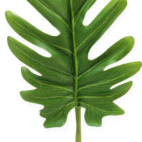 Floristik24 Liście dekoracyjne Filodendron Zielony W11cm L34cm 6szt