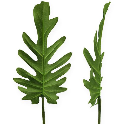 Floristik24 Liście dekoracyjne Filodendron Zielony W11cm L34cm 6szt