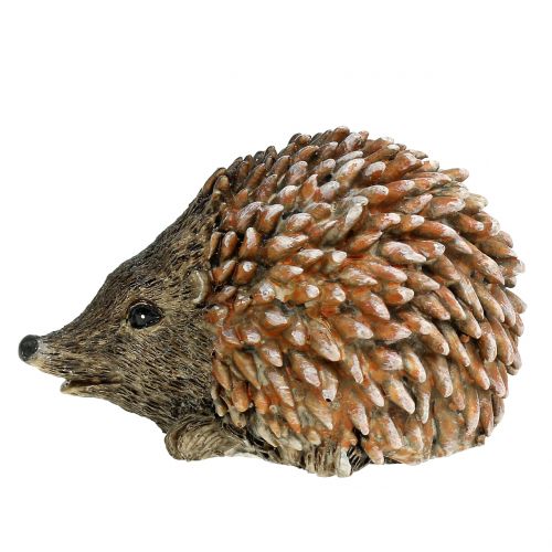 Floristik24 Figura dekoracyjna jeż brązowy 6,5 cm