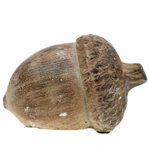 Floristik24 Figurka dekoracyjna żołądź brązowa 11cm x 8cm x 7cm 3szt.
