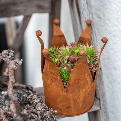 Floristik24 Korona ozdobna, dekoracja metalowa, patyna Ø15cm W11,5cm