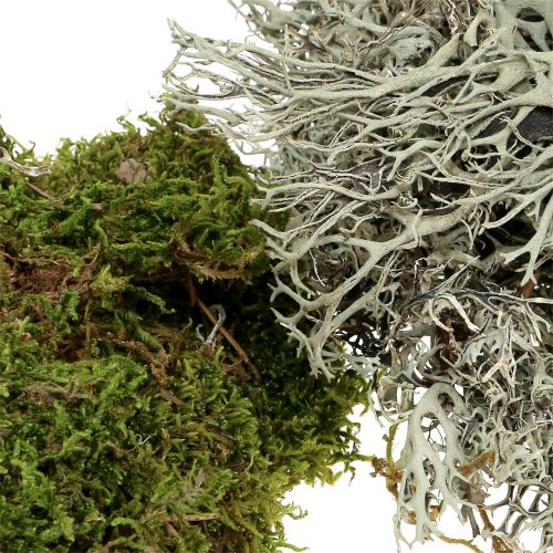 Produkt Deco Moss Mix Nature, Zielony 500g