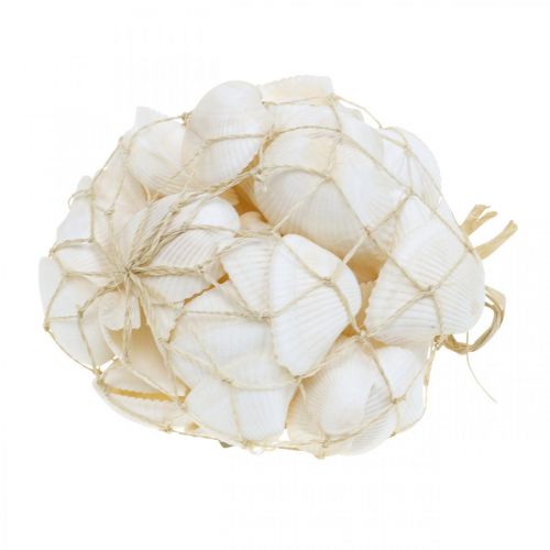 Produkt Deco Shell White Prawdziwe muszle w rafii netto deco morski 400g