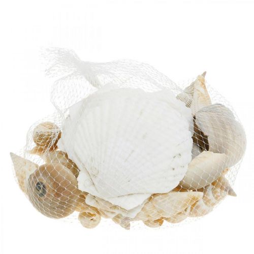 Produkt Deco Snail Shells Ślimaki Morskie Natura Morska Dekoracja 350g