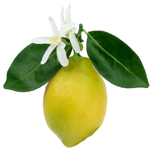Owoce ozdobne cytryny z liśćmi żółte 9,5cm 4szt