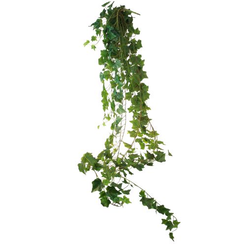 Produkt Dekoracyjny sztuczny bluszcz do naturalnego wystroju wnętrz 183cm