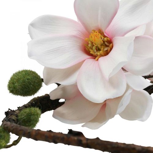 Floristik24 Ozdobny pierścionek sztuczna magnolia wiosenna dekoracja do zawieszenia Ø24cm