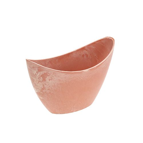 Floristik24 Miska dekoracyjna jasnopomarańczowa 20cm x 9cm W11.5cm, 1szt