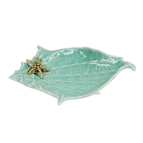 Floristik24 Muszla dekoracyjna 22cm