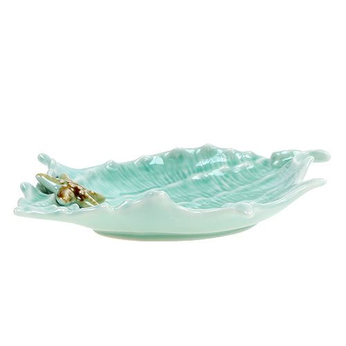 Floristik24 Muszla dekoracyjna 22cm