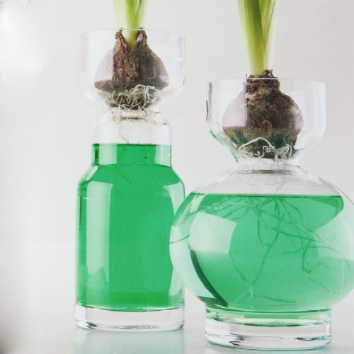 Floristik24 Woda deko zielona 150ml