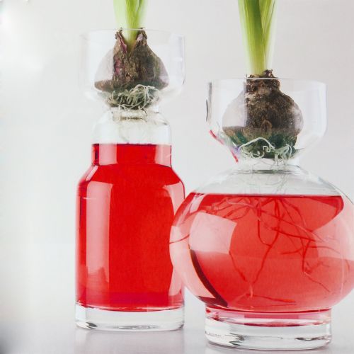 Floristik24 Woda deko czerwona 150ml