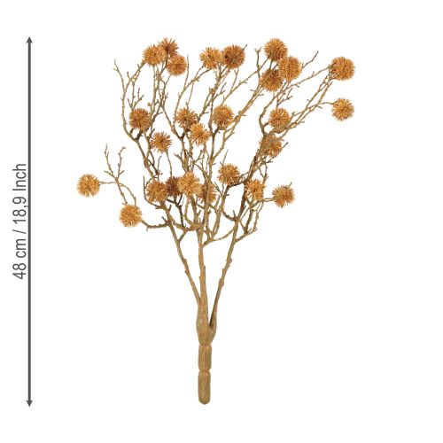 Produkt Gałązka dekoracyjna drzewa ambrowego, owoc ozdobny, ochrowo-brązowy, 48 cm