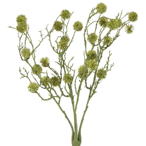 Floristik24 Gałązka dekoracyjna drzewa ambrowego, owoce jasnozielone, 48 cm