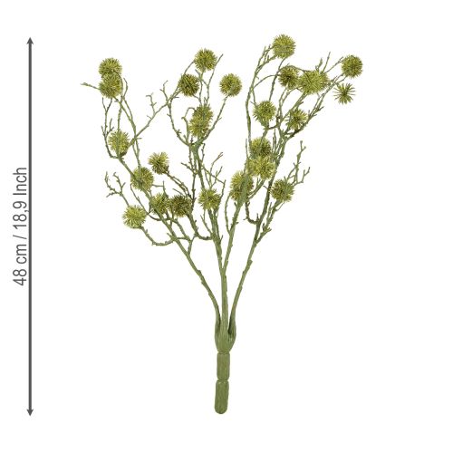 Produkt Gałązka dekoracyjna drzewa ambrowego, owoce jasnozielone, 48 cm